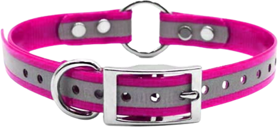 Reflective DayGlo Collars w/ Center Ring 3/4"