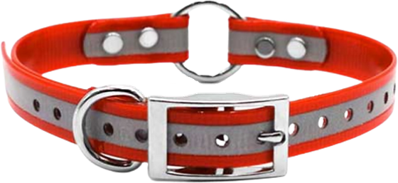 Reflective DayGlo Collars w/ Center Ring 3/4"